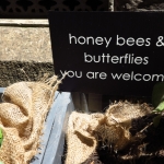 methodist-church-planting-c-stephen-lamb-oct-2012-all-rights-reserved-touching-the-earth-lightly-125-of-156