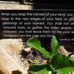 methodist-church-planting-c-stephen-lamb-oct-2012-all-rights-reserved-touching-the-earth-lightly-126-of-156