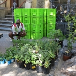 methodist-church-planting-c-stephen-lamb-oct-2012-all-rights-reserved-touching-the-earth-lightly-20-of-156