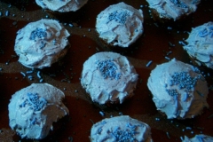 blue-moon-cupcakes-31-august-2012-2-640x480