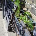 Railings 21 February 2013 (5) (442x640).jpg