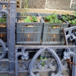 Railings 7 May 2013 (10) (472x640).jpg