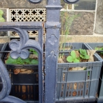 Railings 7 May 2013 (9) (476x640).jpg