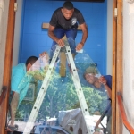 new-glass-doors-main-entrance-february-2014-50-427x640