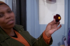 Tsidi and her pompom 14 June 2013 (640x480).jpg